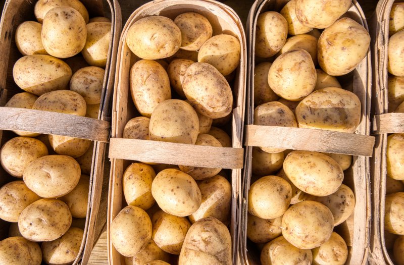 Körbe gefüllt mit Kartoffeln 
